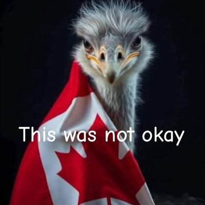 MadAFAngelMom's profile picture. Ultra-MAGA 🇺🇸