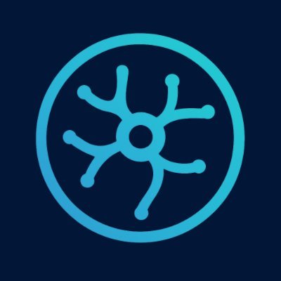 neura402's profile picture. 