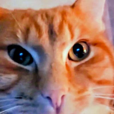 deadliving0's profile picture. 