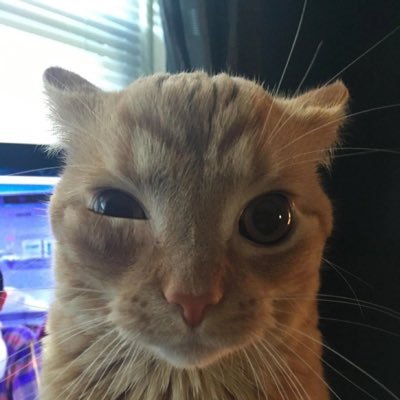 alessiadivitoo's profile picture. 𝕀 𝕜𝕟𝕠𝕨 𝕪𝕠𝕦 𝕙𝕖𝕒𝕣 𝕞𝕖 𝕨𝕙𝕖𝕟 𝕀 𝕔𝕣𝕪 𝕀 𝕥𝕣𝕪 𝕥𝕠 𝕙𝕠𝕝𝕕 𝕚𝕥 𝕚𝕟 𝕥𝕙𝕖 𝕟𝕚𝕘𝕙𝕥