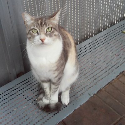 dayantech's profile picture. Game designer  and developer, blogger, entrepreneur , photographer.