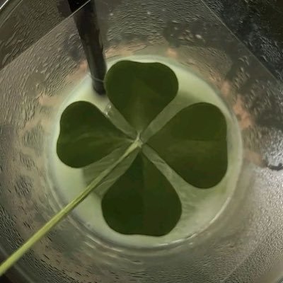 thuhanhs's profile picture. floating~