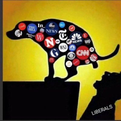 ace0Fspaces's profile picture. the dictionary is the only place where success comes before work