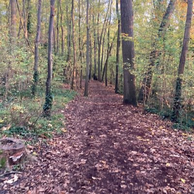 BargiranTo92's profile picture. 