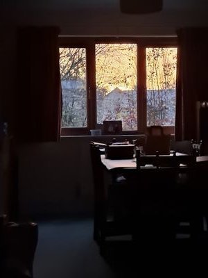 DogsLovesMark's profile picture. 