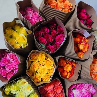 AbwJmyl58757's profile picture. 