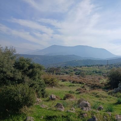 hehey62673's profile picture. 