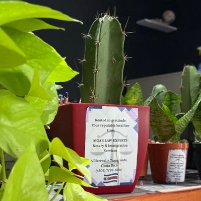 MoarLawExperts's profile picture. Law & Notary Firm in Guanacaste | Residency, Property & Corporate Experts | Trusted Legal Services for Families & Investors in Costa Rica.