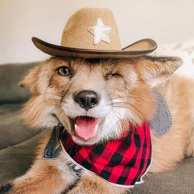 Alguienlol6852's profile picture. ＼(ºoº)／