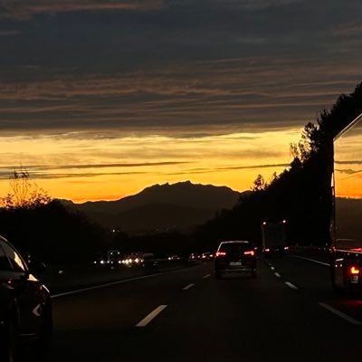 aaanee8's profile picture. 