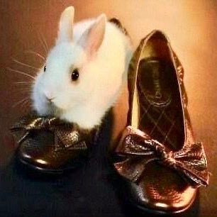 aisatanan's profile picture. 