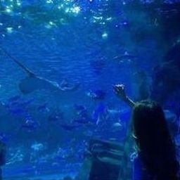 Tuwil46755's profile picture. 