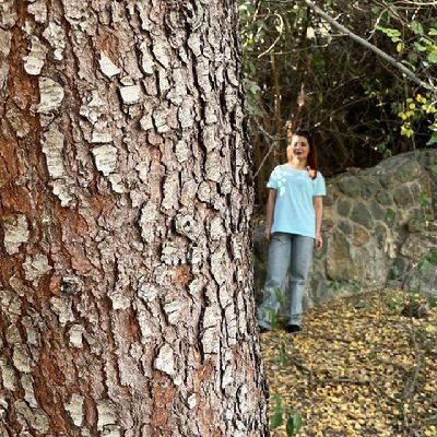 lmiseti96's profile picture. پرتره غمگین گالری ناکجا.