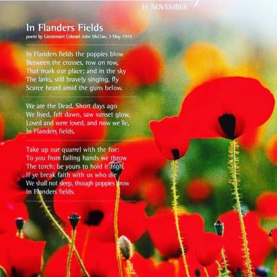 MenaRose's profile picture. Mother, Nonna 🇨🇦🇮🇹🍎🎗