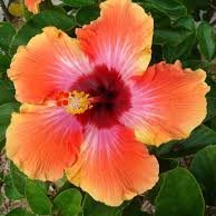 AbrahamInime's profile picture. 