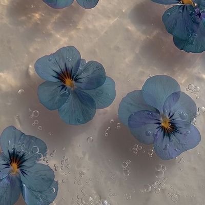 akari_minatoz's profile picture. 