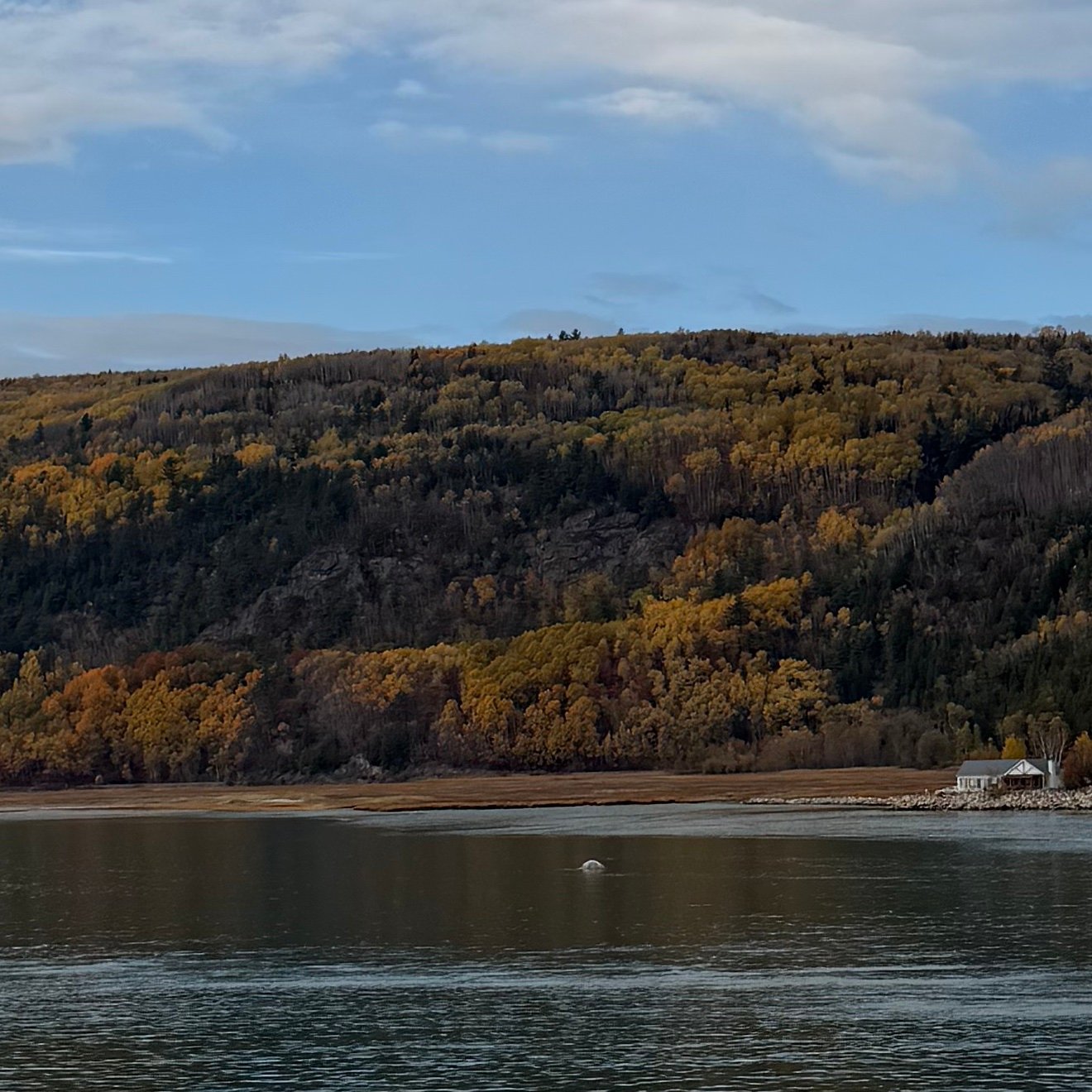 vcas7487's profile picture. 