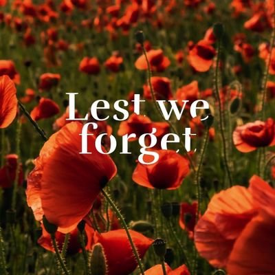 ApeseyApril's profile picture. Racing fan and wildlife lover