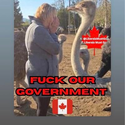 Lex36911's profile picture. 