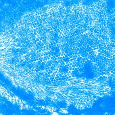 Amamino_Kurousa's profile picture. 