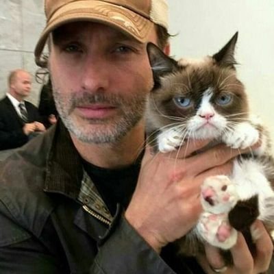 kubbi111's profile picture. z wyższych sfer gdzie cygarem jebie