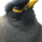 motespresidiet's profile image