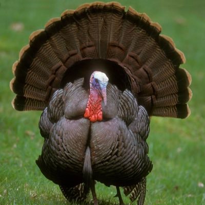 WaltuhMeth's profile picture. 