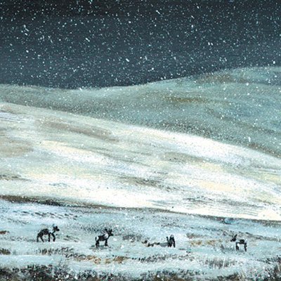 912910_'s profile picture. 🔚🔜