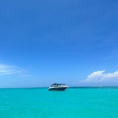 mickyt18's profile picture. Lifelong Wolves fan.