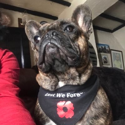 purrrrrrrfectx's profile picture. Staunch Royalist,can’t stand disrespect and Treason …