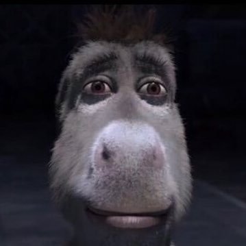 deathvirginia's profile picture. 