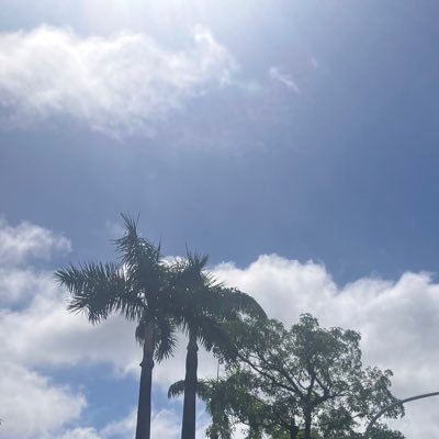 Star_9487's profile picture. 