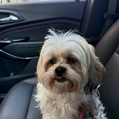 Reginalzano's profile picture. 