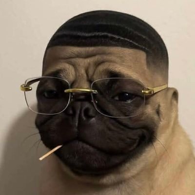 manlikedinta's profile picture. 