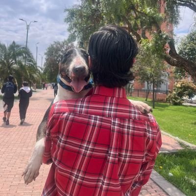 FurcasMastema's profile picture. 🌐👨‍💻💹🏬⚽🥊🐾🤘🏻🎸🧷