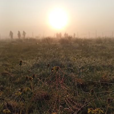 esamielsy's profile picture. 