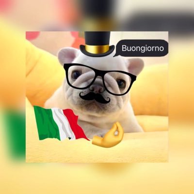 Pantazaki4's profile picture. Quieres una burrita?||🇻🇪 Twitch Streamer||Contacto:tutiopantalon@gmail.com