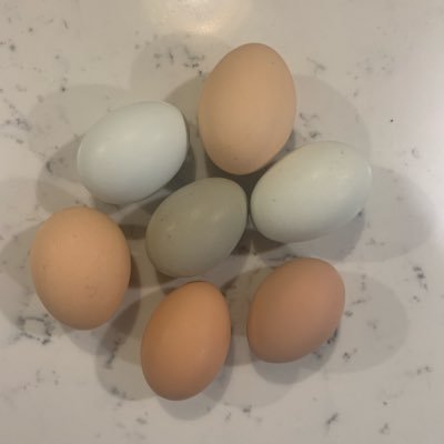 teacher2trader's profile picture. common sense in a world of chaos