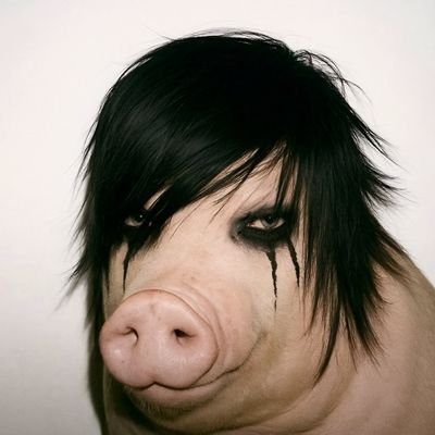 PromptNoJutsu's profile picture. God is dead but so are the gatekeepers.