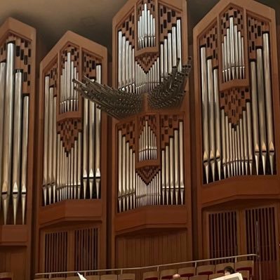 quasi_cadenza's profile picture. 