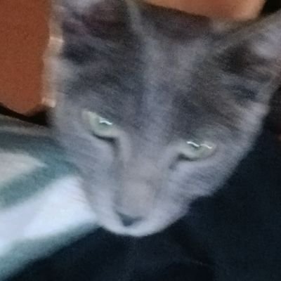 AchabiNisrine's profile picture. 