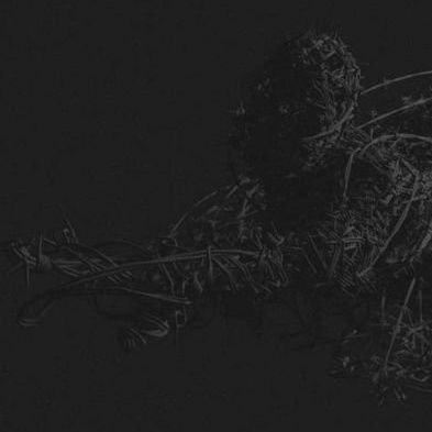 disorientor's profile picture. always remote; working isolated as per WHS protocol