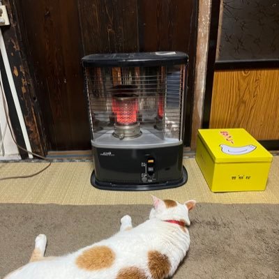 mngzi34844's profile picture. 