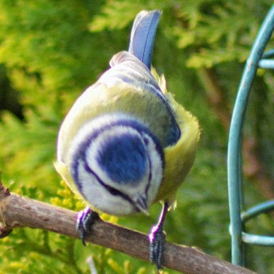 NicolaBrig53862's profile picture. 