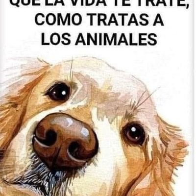 dmzcemily's profile picture. Será como árbol plantado junto  a corrientes de aguas,Que da su fruto en su tiempo,Y su hoja no cae;Y todo lo que hace,Prospera ..SALMO: 1;3