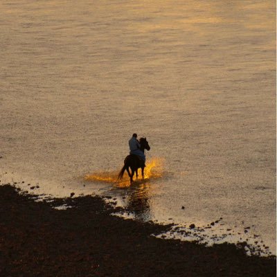 wingsuy's profile picture. People should think, Bot should work.