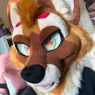 PeppinoPizzAWD's profile picture. 🍕🕺🏈🍻🐕!
🪡@ThePhoenixNest_