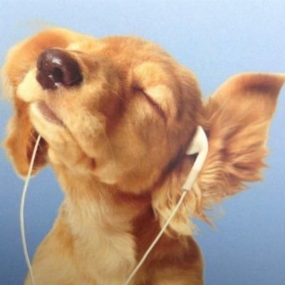 Berthrushka's profile picture. i love dilfs.