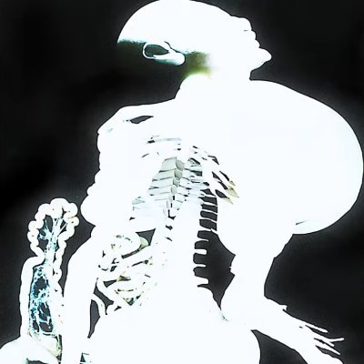 bobobongoo's profile picture. 