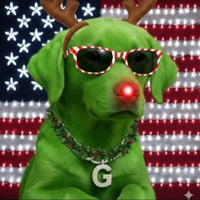 BdawgAF's profile picture. Real American